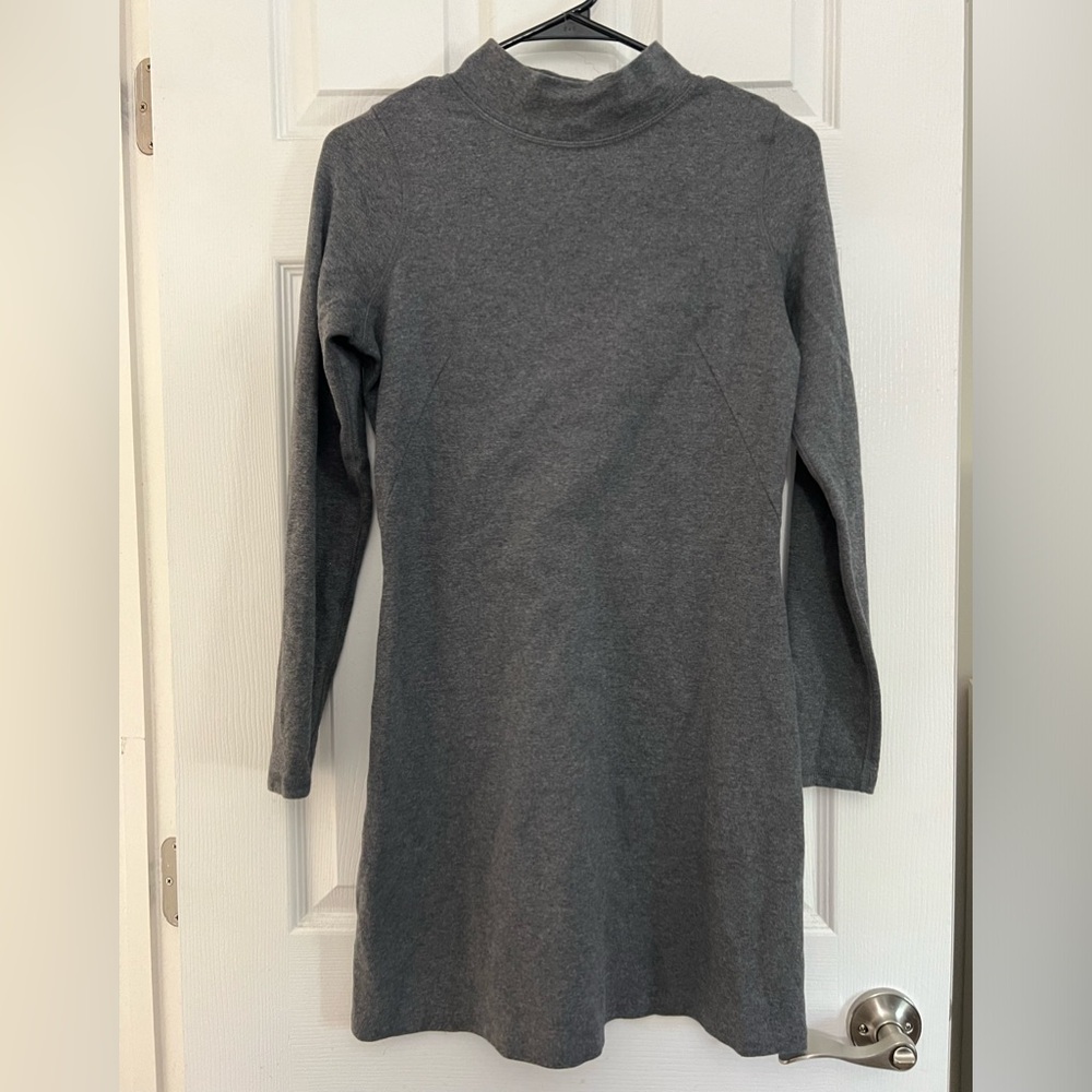 Everlane Mockneck Longsleeve Dress
